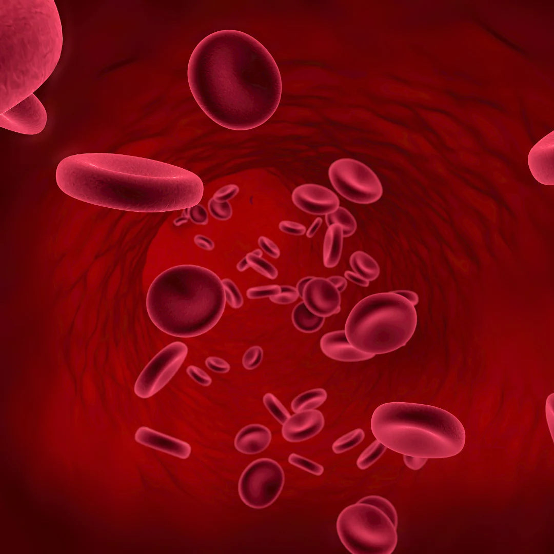 Un cuero cabelludo más sano para crecer